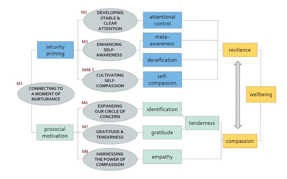 cbct-Diagram.png