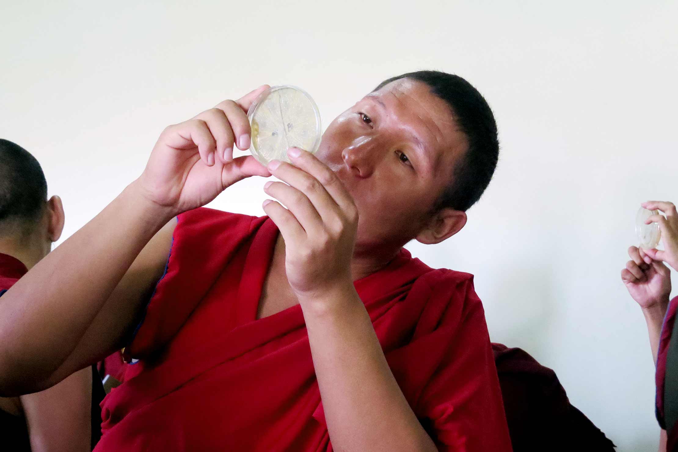 Tibetan monk holding and looking at a petri dish