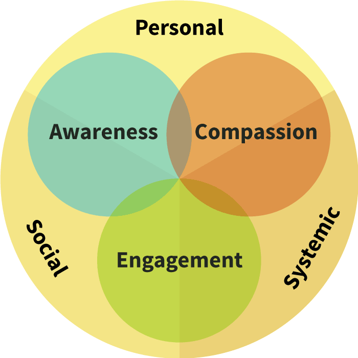 Diagram showing how program domains and dimensions overlap. Domains are Systemic, Social, and Personal. Dimensions are Awareness, Compassion, and Engagement